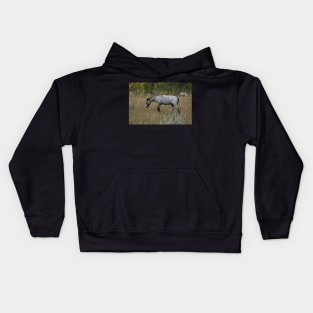 Grey Wild Horse Kids Hoodie